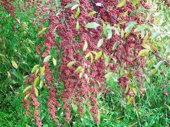 Agriturismo Radamez Monzambano Buitenkant foto